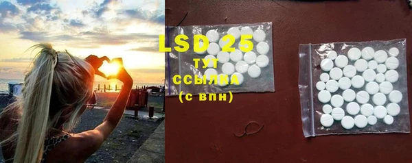 ПСИЛОЦИБИНОВЫЕ ГРИБЫ Баксан