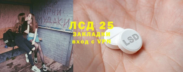 ПСИЛОЦИБИНОВЫЕ ГРИБЫ Баксан