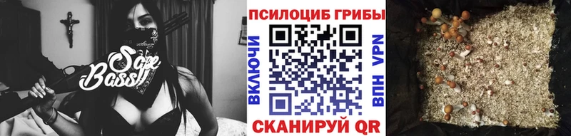 как найти   kraken вход  Галлюциногенные грибы Psilocybine cubensis  Спасск-Дальний 